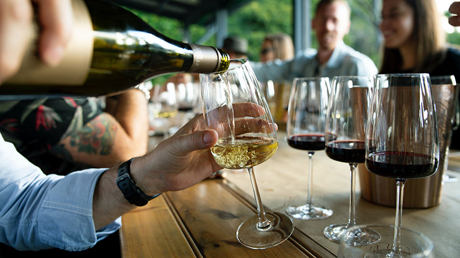 A Must Read Wine Tips for the Wine Newbies